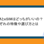 結局SIMとeSIMはどっちがいいの？それぞれの特徴や選び方とは