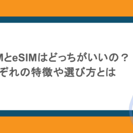 結局SIMとeSIMはどっちがいいの？それぞれの特徴や選び方とは